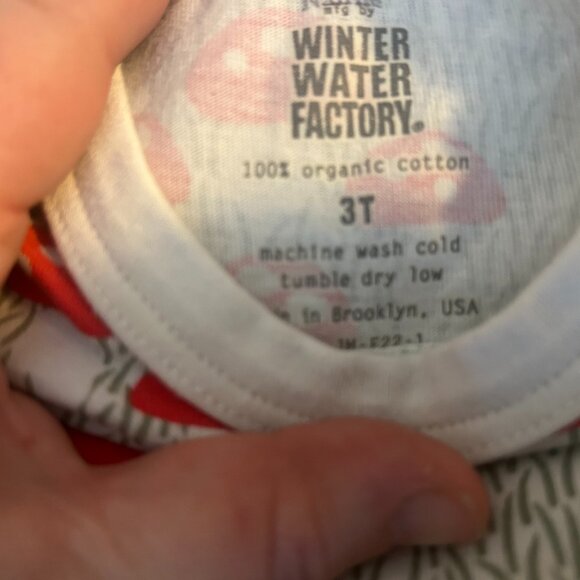 ππ§ββοΈ Bundle of 2 Winter Water Factory T-Shirts β Size 3T π§ββοΈπ - Picture 2 of 5